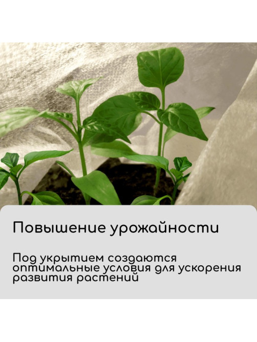 Материал укрывной, 10×3.2 м, плотность 30 г/м², спанбонд с УФ-стабилизатором, белый, Greengo, Эконом 30%