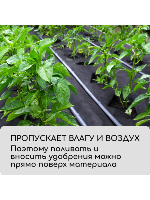 Материал мульчирующий, с перфорацией, 10×0.8 м, плотность 80 г/м², спанбонд с УФ-стабилизатором, чёрный, Greengo, Эконом 30%