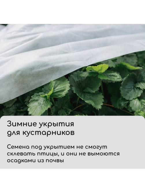 Материал укрывной, 10×1.6 м, плотность 42 г/м², спанбонд с УФ-стабилизатором, белый, Greengo, Эконом 30%