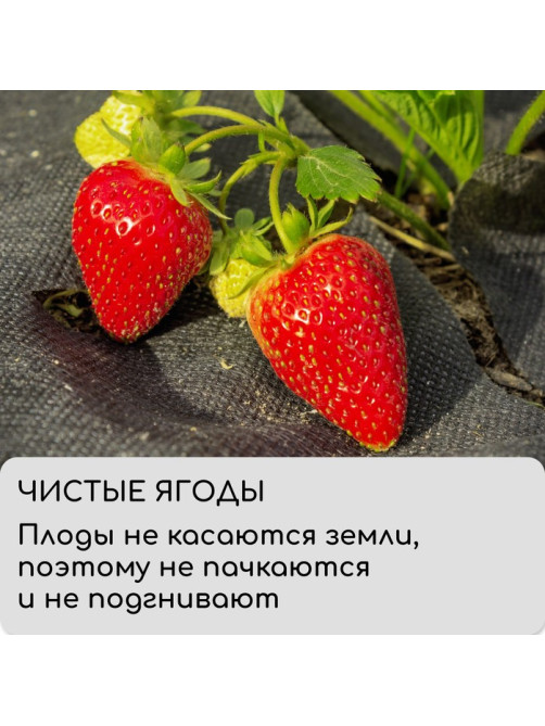 Материал мульчирующий, 10×1.6 м, плотность 80 г/м², спанбонд с УФ-стабилизатором, чёрный, Greengo, Эконом 30%