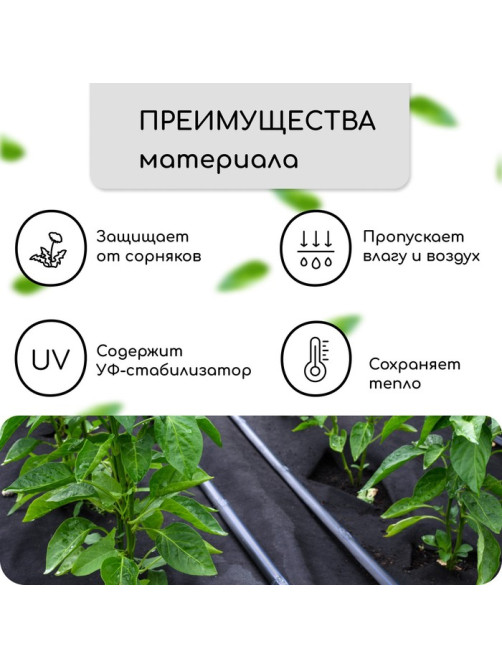 Материал мульчирующий, с перфорацией, 5×1.6 м, плотность 80 г/м², спанбонд с УФ-стабилизатором, 2 ряда перфорации, чёрный, Greengo, Эконом 30%