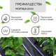 Материал мульчирующий, с перфорацией, 5×1.6 м, плотность 80 г/м², спанбонд с УФ-стабилизатором, 2 ряда перфорации, чёрный, Greengo, Эконом 30%