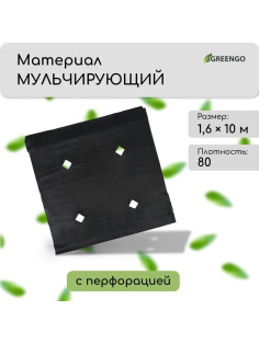 Материал мульчирующий, с перфорацией, 10×1.6 м, плотность 80 г/м², спанбонд с УФ-стабилизатором, чёрный, Greengo, Эконом 30%