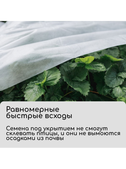 Материал укрывной, 5×3.2 м, плотность 20 г/м², спанбонд с УФ-стабилизатором, белый, Greengo, Эконом 30%