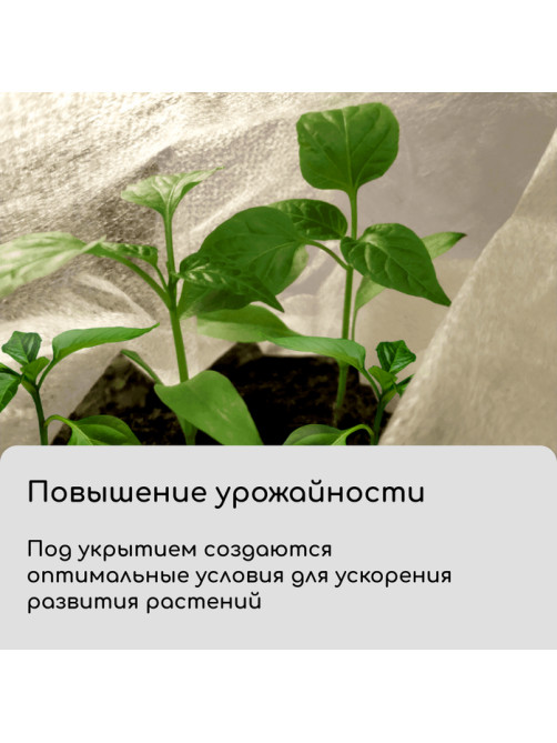 Материал укрывной, 10×3.2 м, плотность 80 г/м², спанбонд с УФ-стабилизатором, белый, Greengo, Эконом 30%