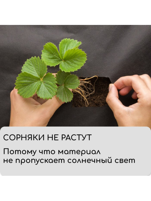Материал мульчирующий, 10×1.6 м, плотность 60 г/м², спанбонд с УФ-стабилизатором, чёрный, Greengo, Эконом 30%