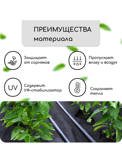 Материал мульчирующий, с перфорацией, 10×1.6 м, плотность 80 г/м², спанбонд с УФ-стабилизатором, чёрный, Greengo, Эконом 30%