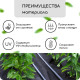 Материал мульчирующий, с перфорацией, 10×1.6 м, плотность 80 г/м², спанбонд с УФ-стабилизатором, чёрный, Greengo, Эконом 30%