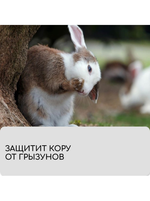 Лента для подвязки растений, 50×0.02 м, плотность 60 г/м², спанбонд с УФ-стабилизатором, белая, Greengo, Эконом 20%