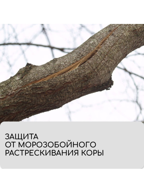 Лента для подвязки растений, 50×0.02 м, плотность 60 г/м², спанбонд с УФ-стабилизатором, белая, Greengo, Эконом 20%