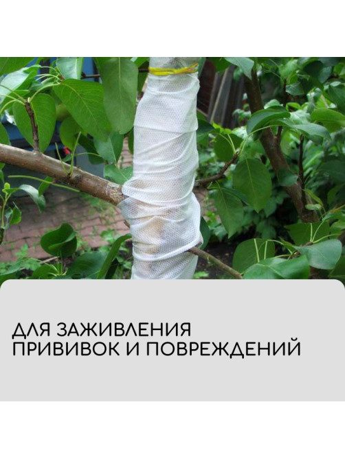 Лента для подвязки растений, 50×0.02 м, плотность 60 г/м², спанбонд с УФ-стабилизатором, белая, Greengo, Эконом 20%