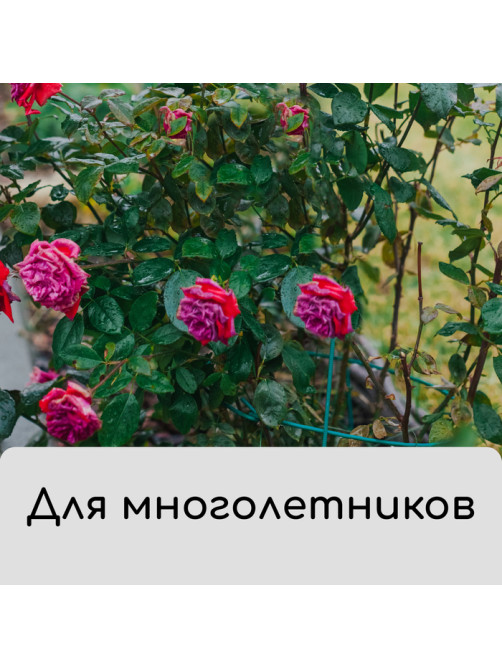 Чехол для растений, на завязках, 60×56 см, спанбонд с УФ-стабилизатором, плотность 60 г/м², МИКС, Greengo
