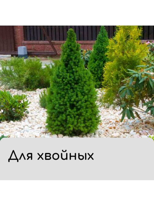 Чехол для растений, конус на завязках, 250×160 см, спанбонд с УФ-стабилизатором, плотность 60 г/м², МИКС, Greengo