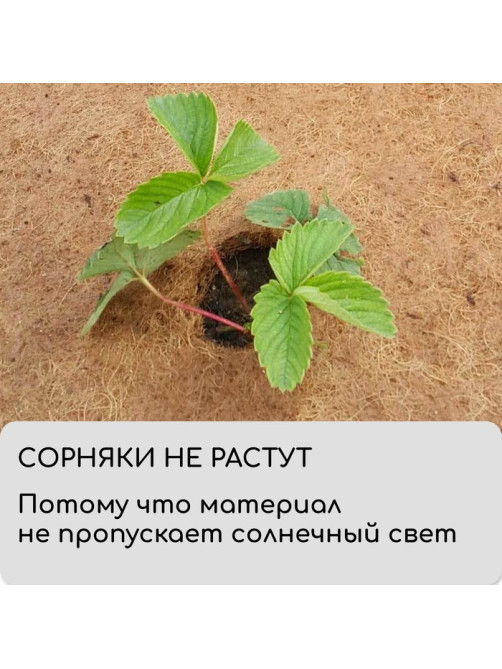Мульча кокосовая в рулоне, 3×0.75 м, Greengo
