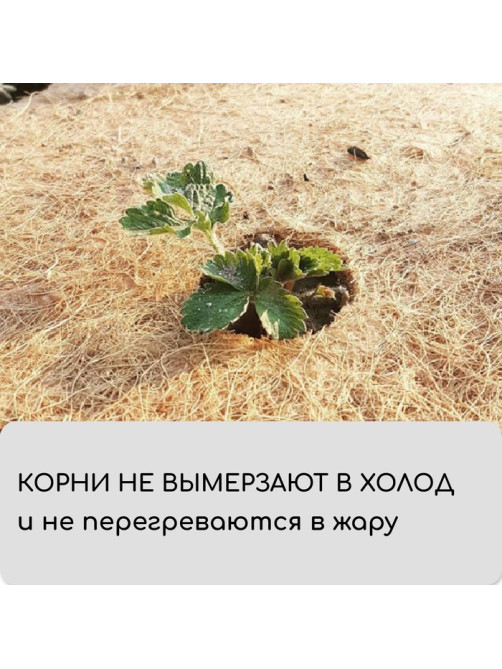 Мульча кокосовая в рулоне, 5×0.5 м, Greengo