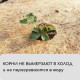 Мульча кокосовая в рулоне, 5×0.5 м, Greengo