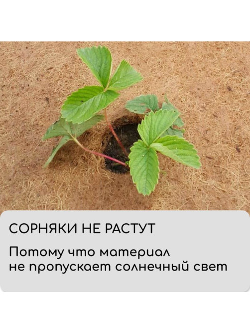 Мульча кокосовая в рулоне, 3×1 м, Greengo