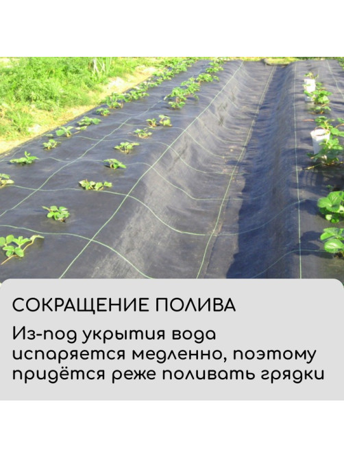 Агроткань застилочная, с разметкой, 5×1.1 м, плотность 100 г/м², полипропилен, Greengo, Эконом 50%