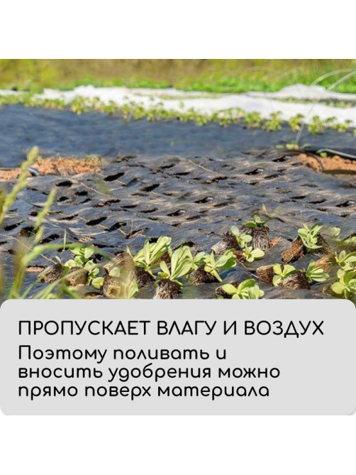 Агроткань застилочная, с разметкой, 5×1.6 м, плотность 100 г/м², полипропилен, Greengo, Эконом 50%