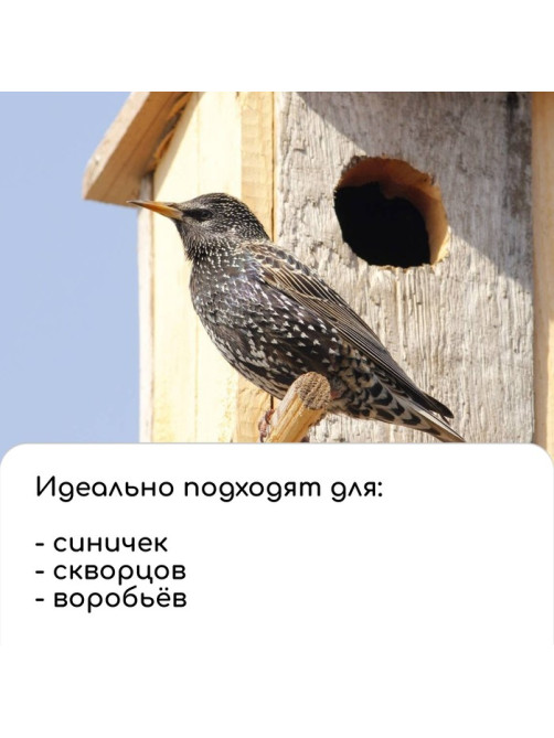 Скворечник, 8.5×8.5×18 см, Greengo