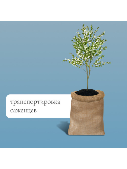 Мешок джутовый, 57×90 см, плотность 32×32 нитей, без завязок, Greengo