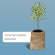 Мешок джутовый, 57×90 см, плотность 32×32 нитей, без завязок, Greengo