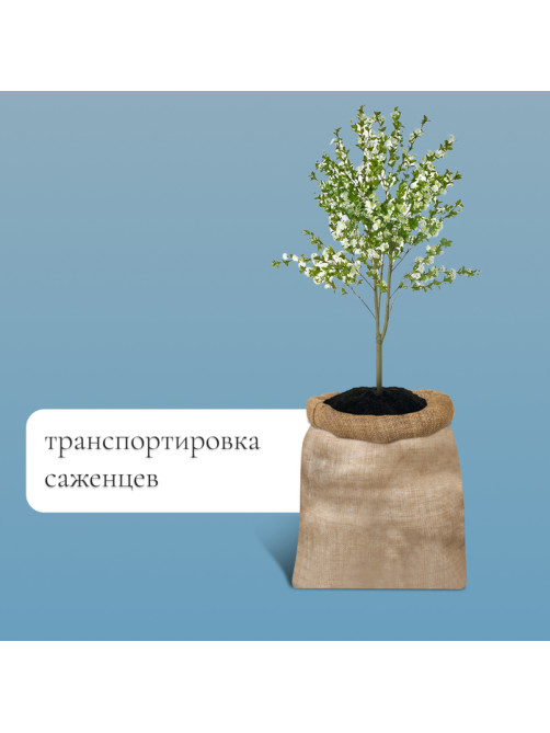Мешок джутовый, 74×100 см, плотность 26×26 нитей, без завязок, Greengo