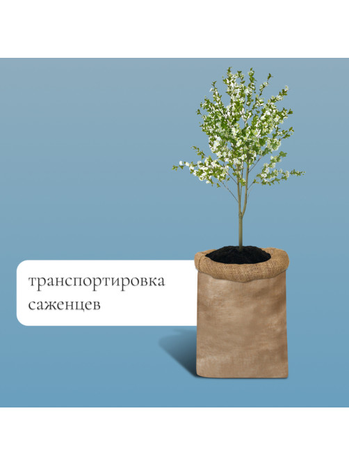 Мешок джутовый, 74×114 см, плотность 32×32 нитей, без завязок, Greengo