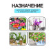 Грунт цветочный «Рецепты Дедушки Никиты», 40 л