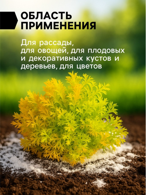 Доломитовая мука «Рецепты Дедушки Никиты» 1 кг