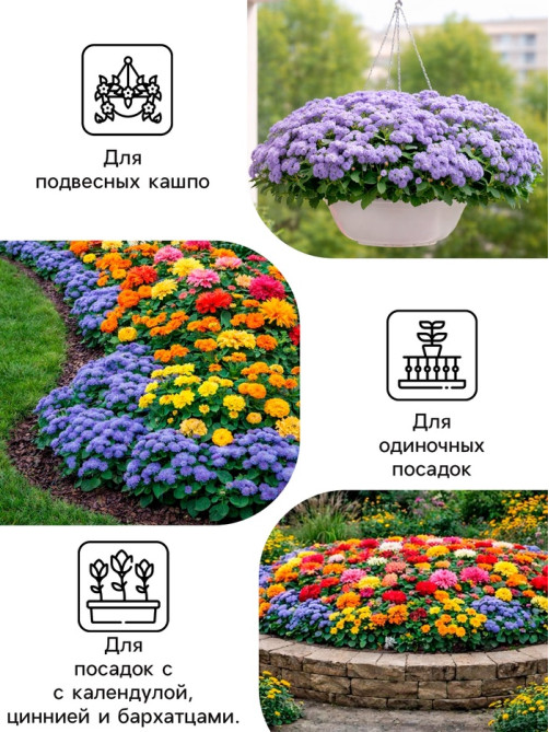 Семена цветов Агератум, голубой, 0.1 г, «Рецепты дедушки Никиты»