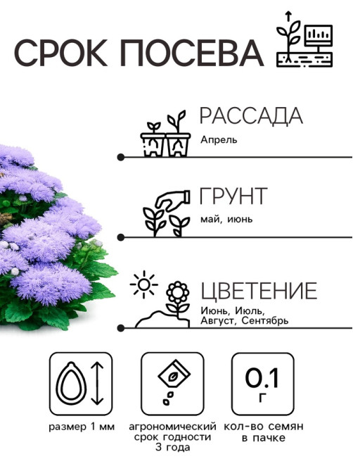 Семена цветов Агератум, голубой, 0.1 г, «Рецепты дедушки Никиты»