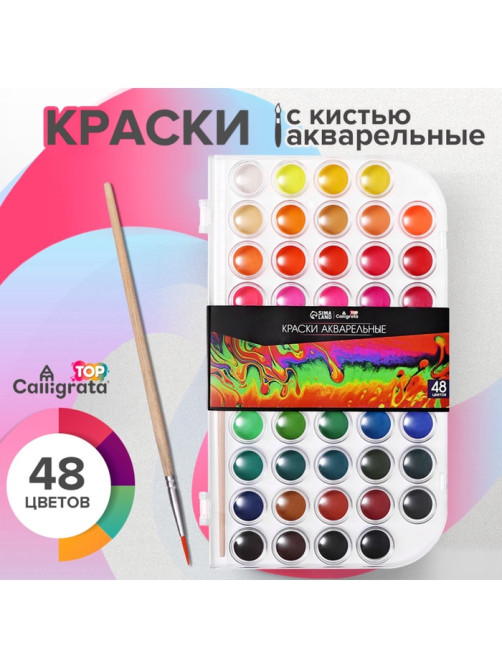 Краски акварельные 48 цветов, круглые, диаметр кюветы 23 мм, с кистью, пластиковый пенал, CALLIGRATA TOP