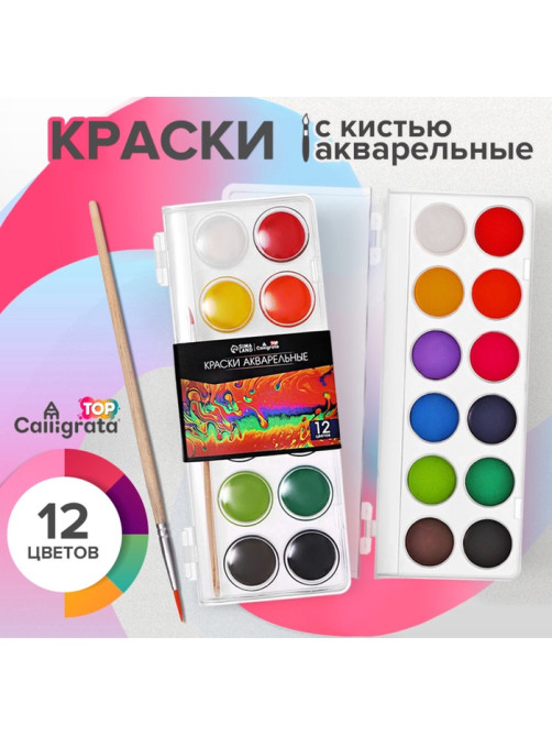 Краски акварельные 12 цветов, круглые, диаметр кюветы 28 мм, с кистью, пластиковый пенал, CALLIGRATA TOP