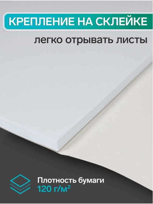 Альбом для рисования Calligrata «Природа» А4, 40 листов на склейке, обложка мелованный картон, выборочный УФ-лак, блок офсет 120 г/м²