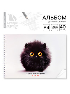 Альбом для рисования 40 листов на пружине А4 «Черный пушистик»