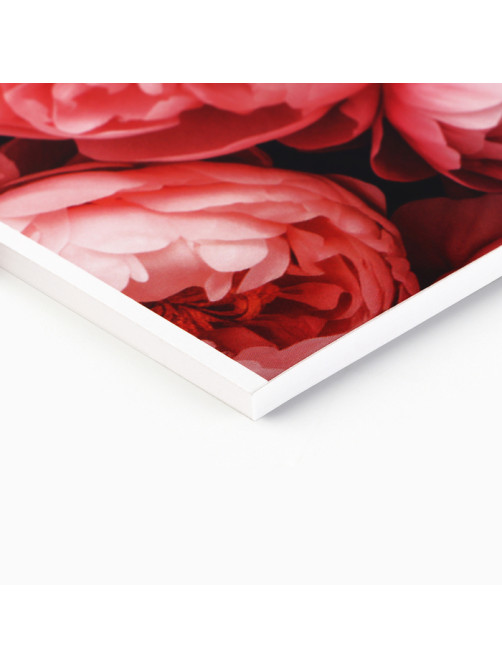 Альбом для рисования 40 листов на склейке А4 «Цветы»