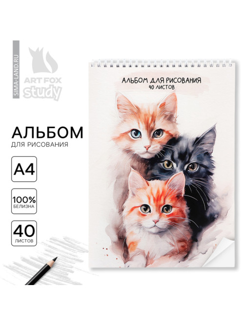 Альбом для рисования 40 листов на пружине А4 «Три котика»