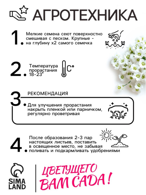 Семена цветов Алиссум «Снежные узоры», 0.1 г, «Рецепты дедушки Никиты»