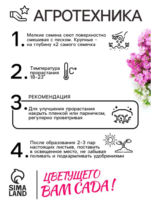 Семена цветов Алиссум «Ежевичные меренги», 5 шт., «Рецепты дедушки Никиты»