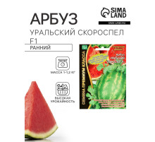 Семена Арбуз «Уральский Скороспел», F1, набор 5 шт., «Уральский дачник»
