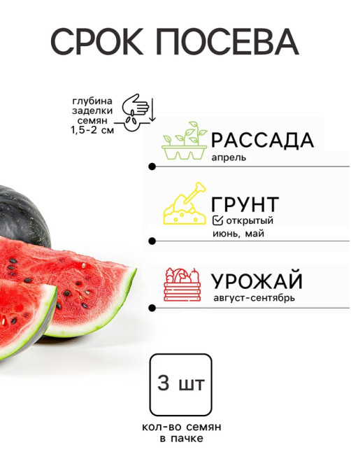 Семена Арбуз «Уральский Скороспел», F1, набор 5 шт., «Уральский дачник»
