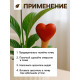 Автополив для комнатных растений «Сердечко», 14×4.6 см, керамика, набор 4 шт., МИКС