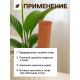 Автополив для комнатных растений «Терракот», 17.4×4.8 см, керамика, набор 4 шт.