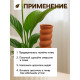 Автополив для комнатных растений «Спираль», 16.2×5 см, керамика, набор 4 шт.