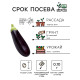 Семена Баклажан «Король Рынка», 0.1 г, «Рецепты дедушки Никиты»