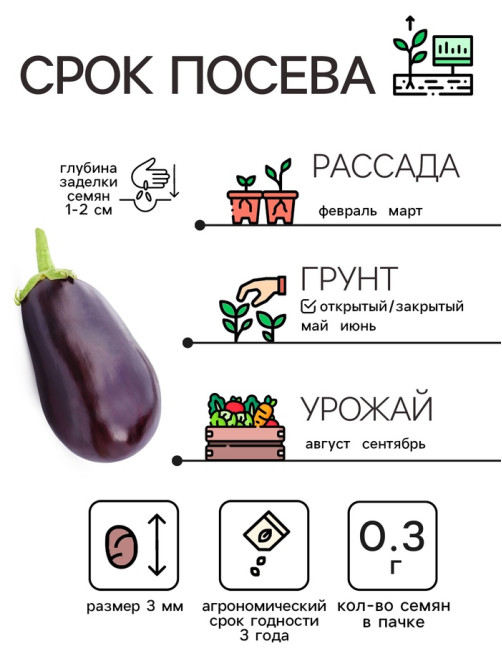 Семена Баклажан «Чёрный красавец», 0.3 г, «Рецепты дедушки Никиты»