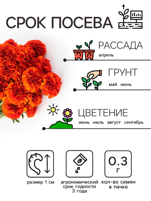 Семена цветов Бархатцы отклонённые «Мерседес», 0.1 г, «Рецепты дедушки Никиты»
