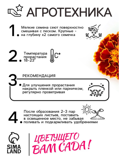 Семена цветов Бархатцы отклонённые «Медок», смесь, 0.3 г, «Рецепты дедушки Никиты»