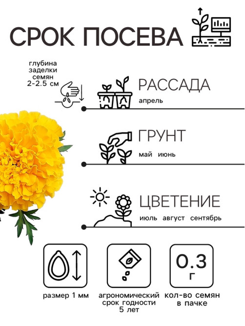 Семена цветов Бархатцы прямостоячие «Лимонное чудо», 0.3 г